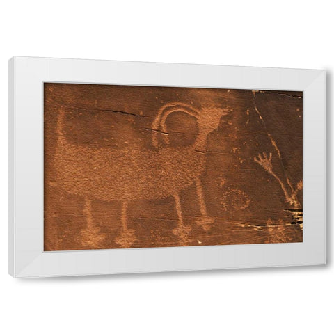 Utah Petroglyph rock art at Dinosaur NM White Modern Wood Framed Art Print by Flaherty, Dennis
