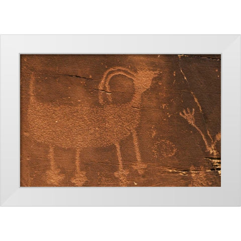 Utah Petroglyph rock art at Dinosaur NM White Modern Wood Framed Art Print by Flaherty, Dennis