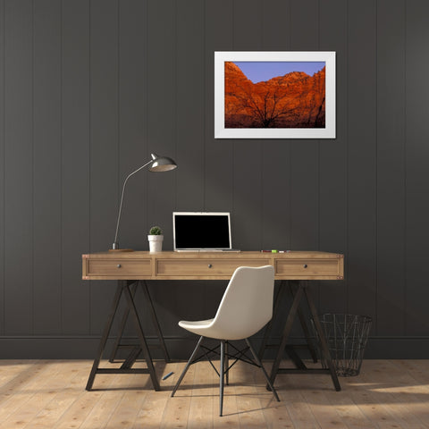 UT, Zion NP Silhouette of barren tree at sunset White Modern Wood Framed Art Print by Young, Bill