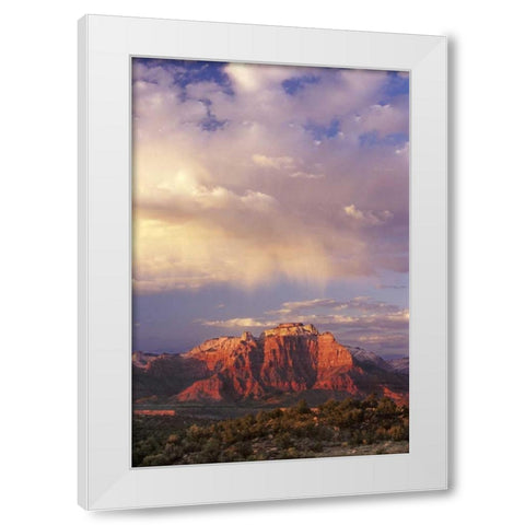 UT, Zion NP Storm over back of West Temple White Modern Wood Framed Art Print by Welling, Dave