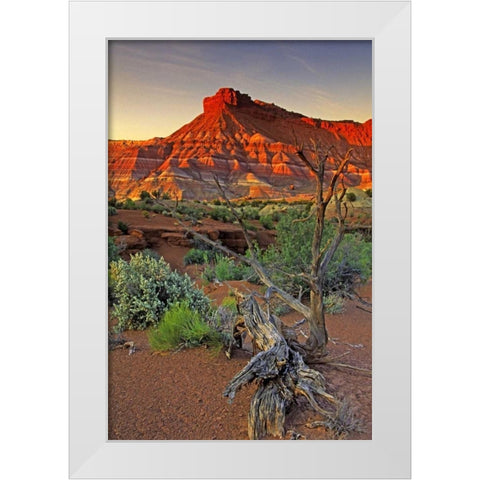 Utah Paria Canyon sandstone formation at sunset White Modern Wood Framed Art Print by Welling, Dave