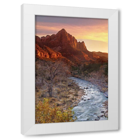 UT, Zion NP The Watchman and Virgin River White Modern Wood Framed Art Print by Welling, Dave