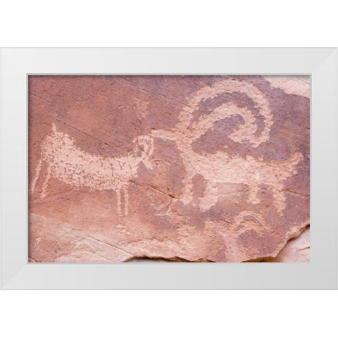 UT, Glen Canyon NP Petroglyph byEscalante River White Modern Wood Framed Art Print by Paulson, Don