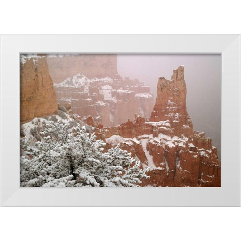 Utah, Bryce Canyon Paria Valley formations White Modern Wood Framed Art Print by Paulson, Don