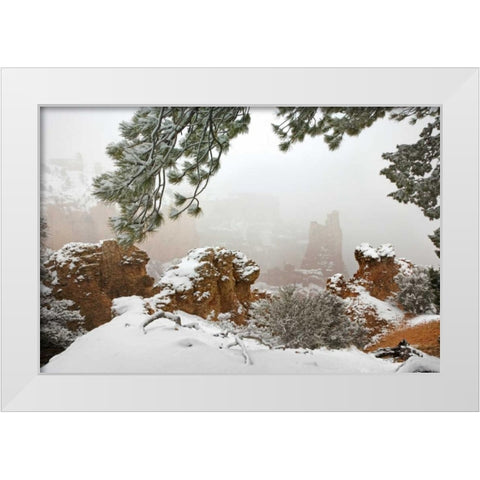 Utah, Bryce Canyon Paria Valley formations White Modern Wood Framed Art Print by Paulson, Don