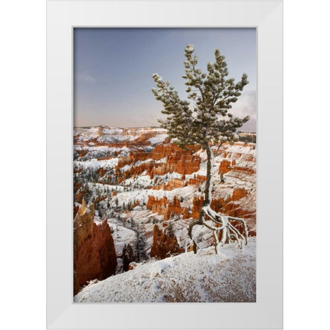 Utah, View of Bryce Canyon in winter White Modern Wood Framed Art Print by Paulson, Don