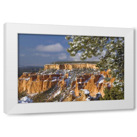 UT, Bryce Canyon Sunrise on canyon formations White Modern Wood Framed Art Print by Paulson, Don