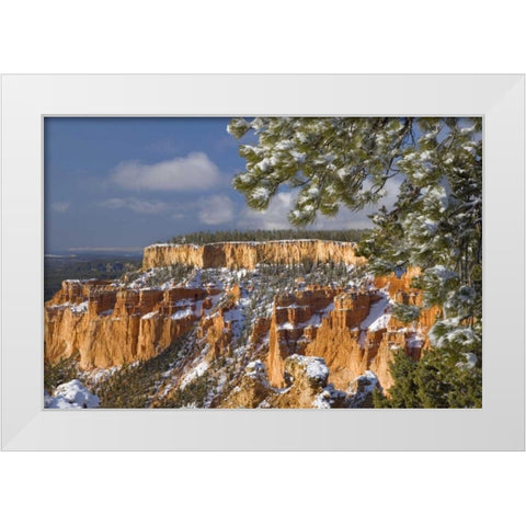 UT, Bryce Canyon Sunrise on canyon formations White Modern Wood Framed Art Print by Paulson, Don