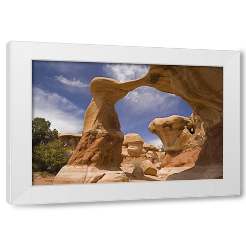 UT, Escalante Grand Staircase NM, Devils Garden White Modern Wood Framed Art Print by Paulson, Don