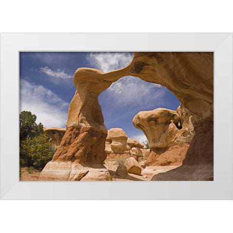 UT, Escalante Grand Staircase NM, Devils Garden White Modern Wood Framed Art Print by Paulson, Don