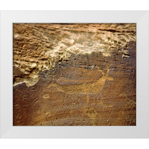 Utah Petroglyph carvings of animals on rock face White Modern Wood Framed Art Print by Talbot Frank, Christopher