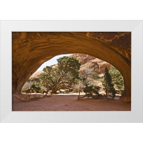 USA, Utah, Arches NP View of cave-like arch White Modern Wood Framed Art Print by Paulson, Don