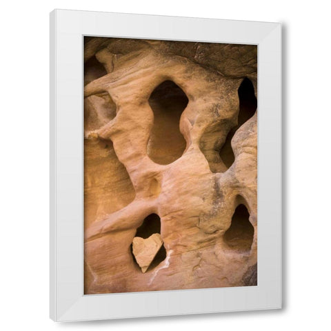 UT, Canyonlands NP Heart-shape rock in sandstone White Modern Wood Framed Art Print by Paulson, Don