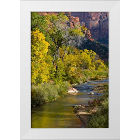 UT, Zion NP Virgin River and cottonwood trees White Modern Wood Framed Art Print by Rotenberg, Nancy