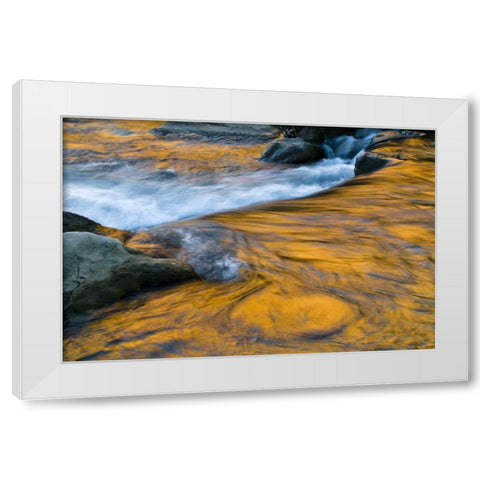 UT, Zion NP Canyon reflections on Virgin River White Modern Wood Framed Art Print by Rotenberg, Nancy