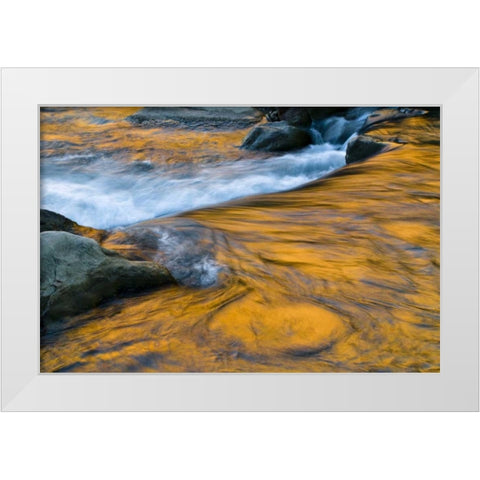 UT, Zion NP Canyon reflections on Virgin River White Modern Wood Framed Art Print by Rotenberg, Nancy