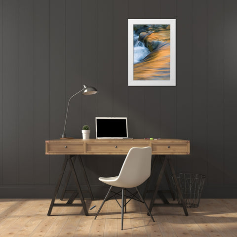 UT, Zion NP Canyon reflections on Virgin River White Modern Wood Framed Art Print by Rotenberg, Nancy