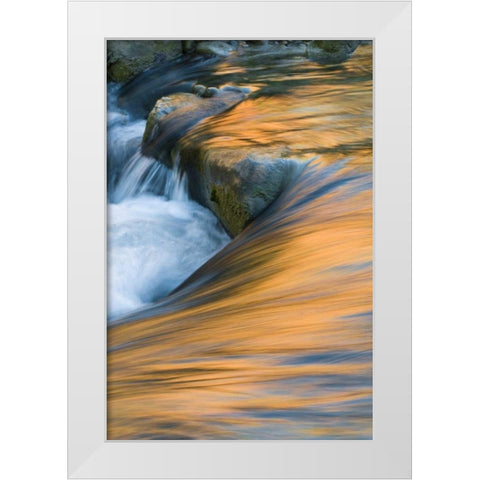UT, Zion NP Canyon reflections on Virgin River White Modern Wood Framed Art Print by Rotenberg, Nancy
