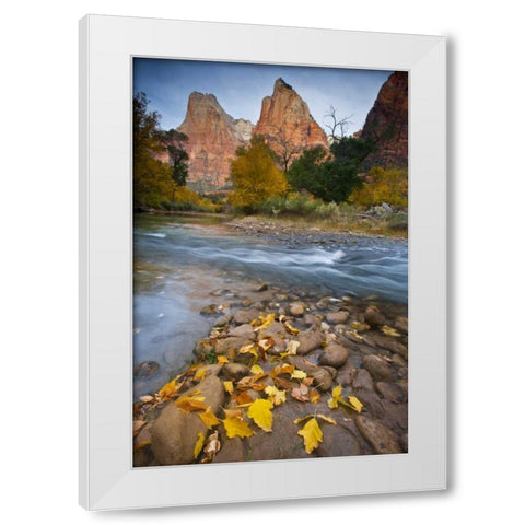 UT, Zion NP The Sentinel and fallen leaves White Modern Wood Framed Art Print by Rotenberg, Nancy