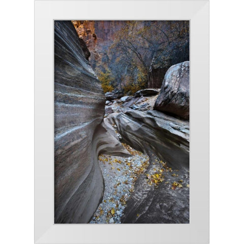 UT, Zion NP Canyon in fall along a Highway White Modern Wood Framed Art Print by Rotenberg, Nancy