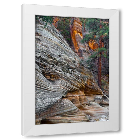 Utah, Zion NP Rock formations in Red Rock Canyon White Modern Wood Framed Art Print by Rotenberg, Nancy