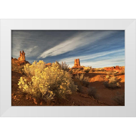 UT, Valley of The Gods Eroded formations White Modern Wood Framed Art Print by Rotenberg, Nancy