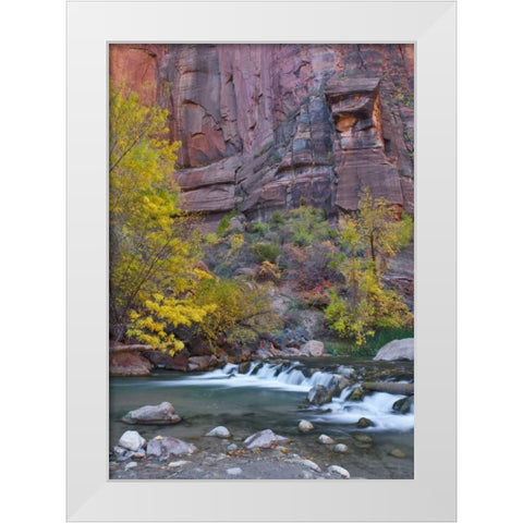 UT, Zion NP The Narrows with cottonwood trees White Modern Wood Framed Art Print by Rotenberg, Nancy