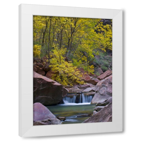 UT, Zion Virgin River waterfall and The Narrows White Modern Wood Framed Art Print by Rotenberg, Nancy