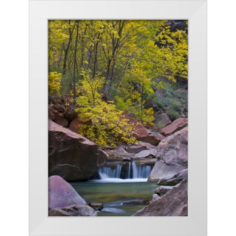 UT, Zion Virgin River waterfall and The Narrows White Modern Wood Framed Art Print by Rotenberg, Nancy
