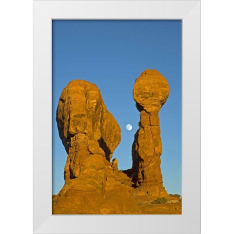 UT, Arches NP Moonrise over Garden of Eden White Modern Wood Framed Art Print by Illg, Cathy and Gordon