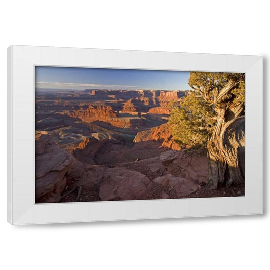Perspective Image