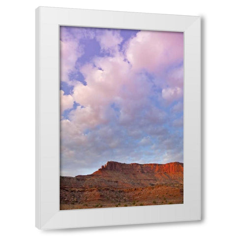 UT, Canyonlands NP Grand View Point Overlook White Modern Wood Framed Art Print by Lord, Fred