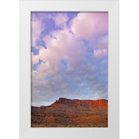 UT, Canyonlands NP Grand View Point Overlook White Modern Wood Framed Art Print by Lord, Fred