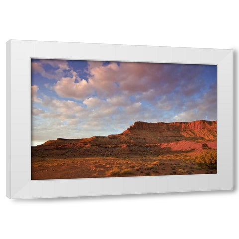UT, Canyonlands NP Grand View Point Overlook White Modern Wood Framed Art Print by Lord, Fred