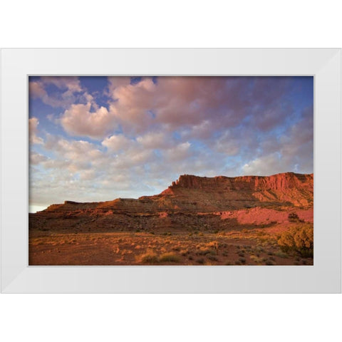UT, Canyonlands NP Grand View Point Overlook White Modern Wood Framed Art Print by Lord, Fred