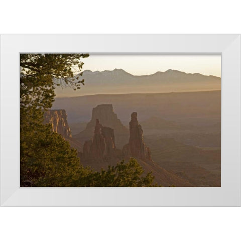 UT, Arches NP Washerwoman Arch and La Sal Mts White Modern Wood Framed Art Print by Illg, Cathy and Gordon