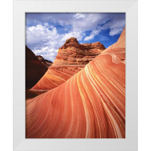 Utah, Paria Canyon The Wave formation, sandstone White Modern Wood Framed Art Print by Flaherty, Dennis