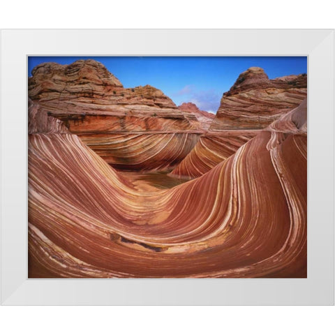 Utah, Paria Canyon The Wave formation, sandstone White Modern Wood Framed Art Print by Flaherty, Dennis