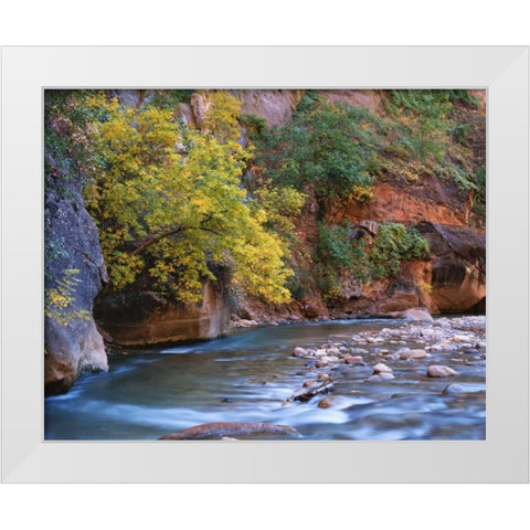 Utah, Zion NP The Virgin River in the Narrows White Modern Wood Framed Art Print by Flaherty, Dennis