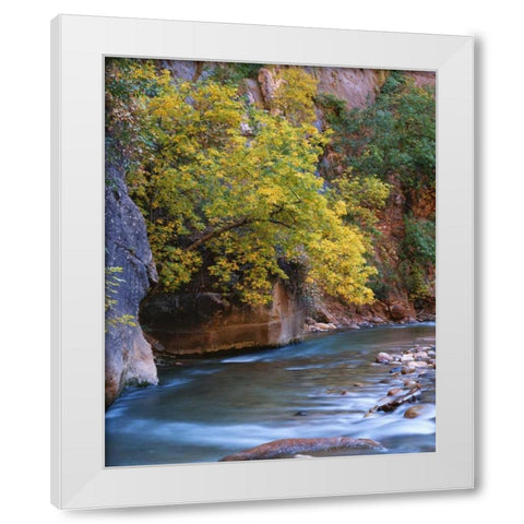 Utah, Zion NP The Virgin River in the Narrows White Modern Wood Framed Art Print by Flaherty, Dennis