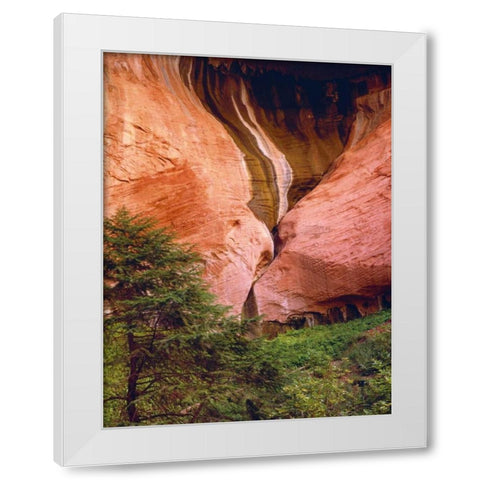 USA, Utah, Zion NP View of Double-Arch Alcove White Modern Wood Framed Art Print by Flaherty, Dennis