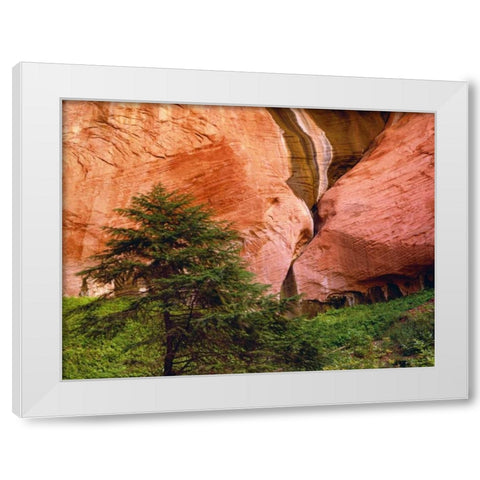 USA, Utah, Zion NP View of Double-Arch Alcove White Modern Wood Framed Art Print by Flaherty, Dennis