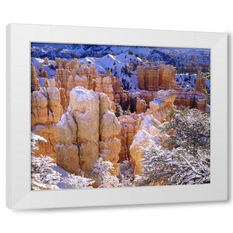 Utah, Bryce Canyon NP in Winter White Modern Wood Framed Art Print by Talbot Frank, Christopher