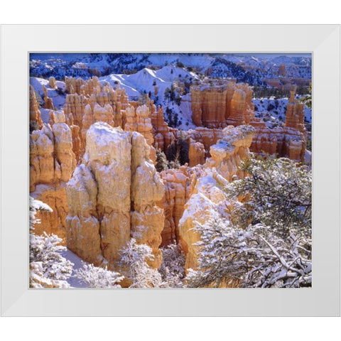 Utah, Bryce Canyon NP in Winter White Modern Wood Framed Art Print by Talbot Frank, Christopher