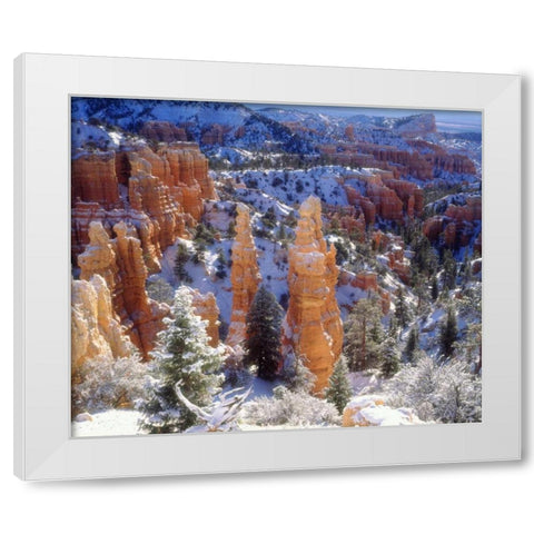 USA, Utah, Bryce Canyon NP Winter White Modern Wood Framed Art Print by Talbot Frank, Christopher