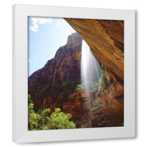 UT, Zion NP A waterfall drops from a cliff White Modern Wood Framed Art Print by Talbot Frank, Christopher