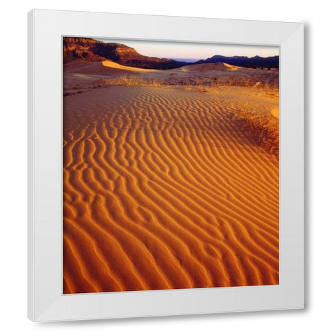 USA, Utah Coral Pink Sand Dunes at sunset White Modern Wood Framed Art Print by Talbot Frank, Christopher