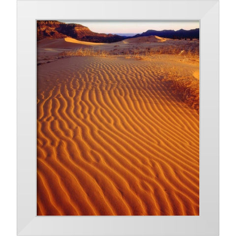USA, Utah Coral Pink Sand Dunes at sunset White Modern Wood Framed Art Print by Talbot Frank, Christopher