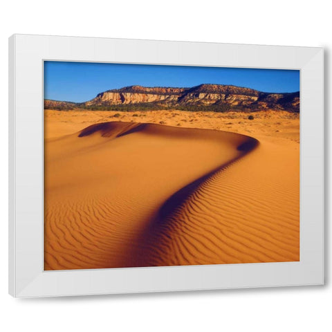 USA, Utah Coral Pink Sand Dunes at sunset White Modern Wood Framed Art Print by Talbot Frank, Christopher
