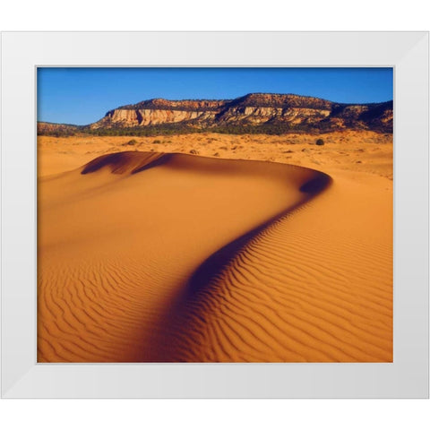 USA, Utah Coral Pink Sand Dunes at sunset White Modern Wood Framed Art Print by Talbot Frank, Christopher